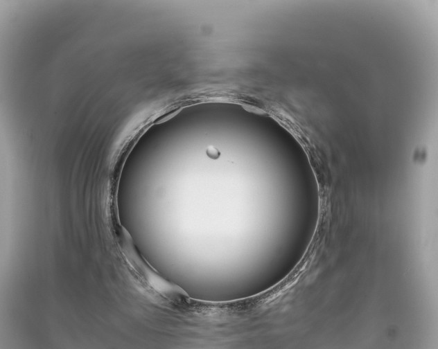 X0000091300293200708101054
