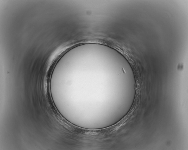 X0000091300294200708101054