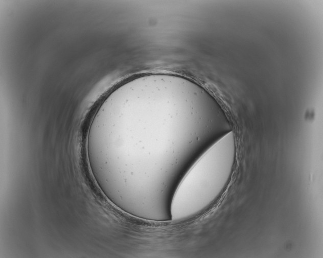 X0000091300295200708101054