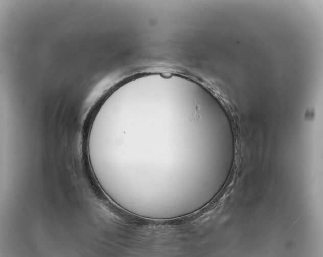 X0000091300296200708101054