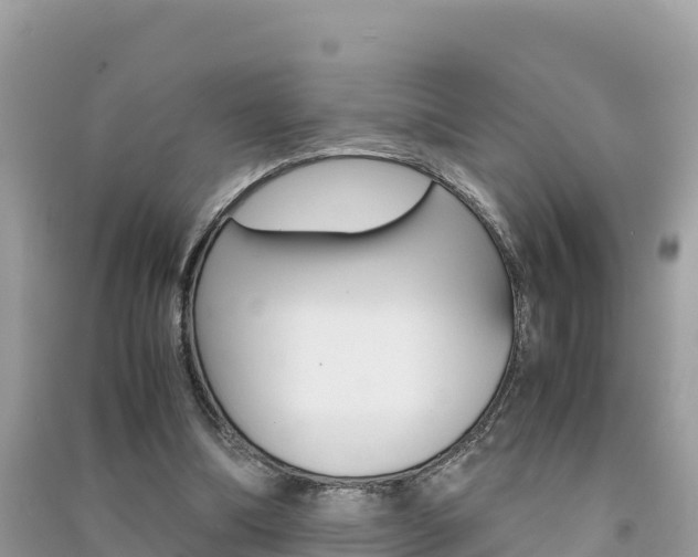X0000091300298200708101054