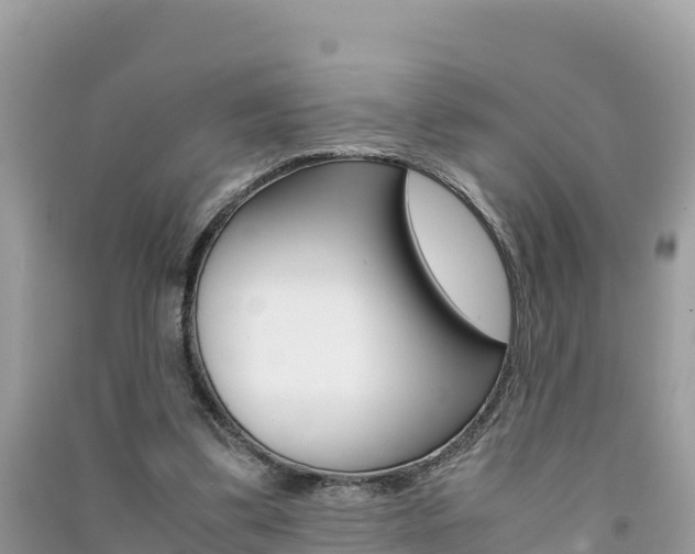 X0000091300299200708101054