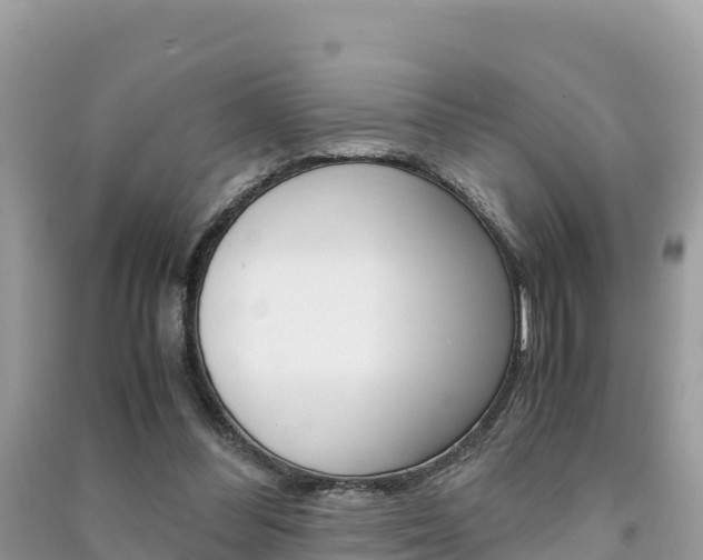 X0000091300300200708101054