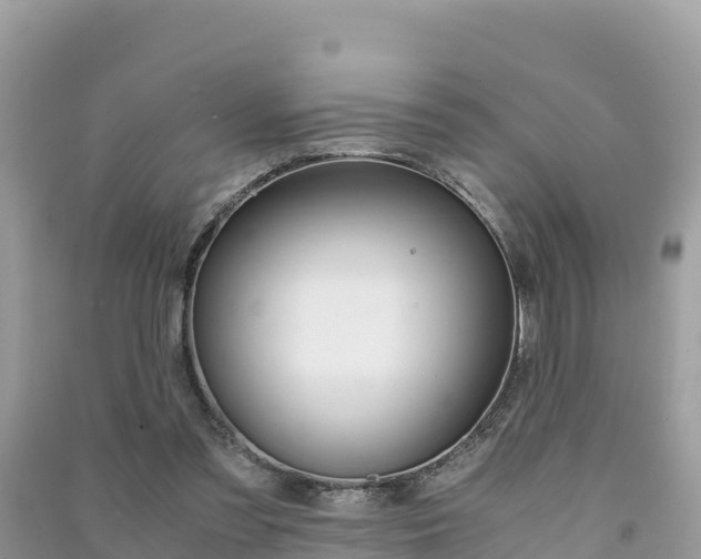 X0000091300301200708101054