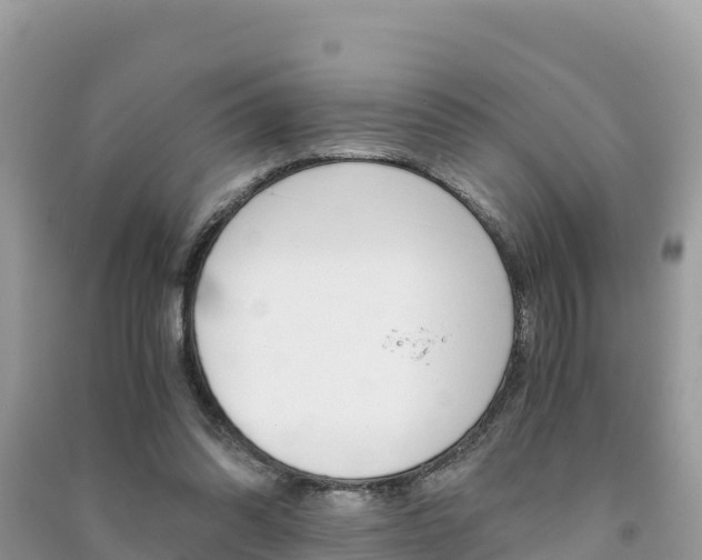 X0000091300302200708101054