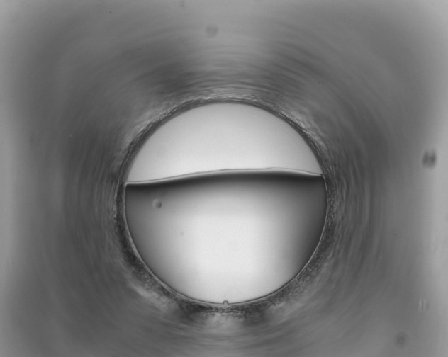 X0000091300303200708101054