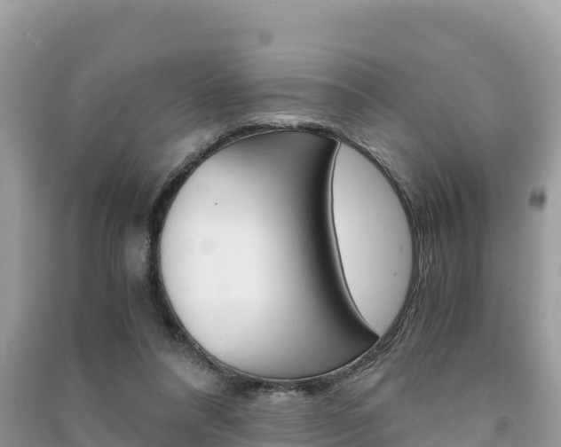 X0000091300304200708101054