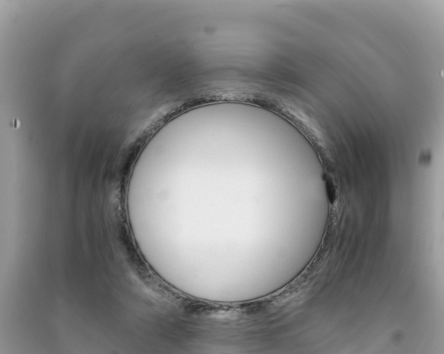 X0000091300306200708101054