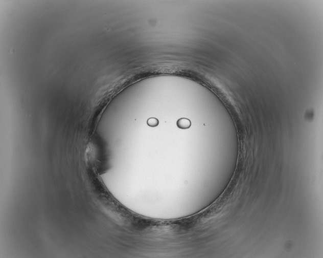 X0000091300307200708101053