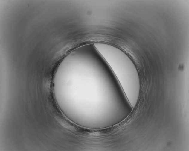 X0000091300309200708101053