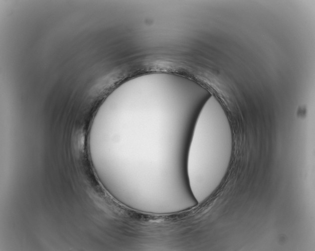 X0000091300310200708101053