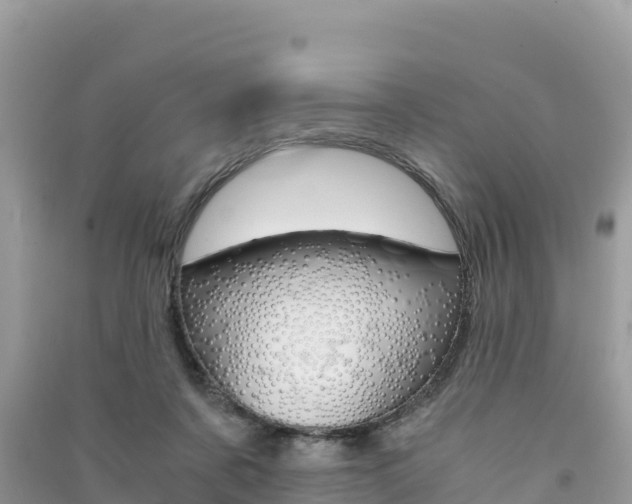 X0000091300311200708101053
