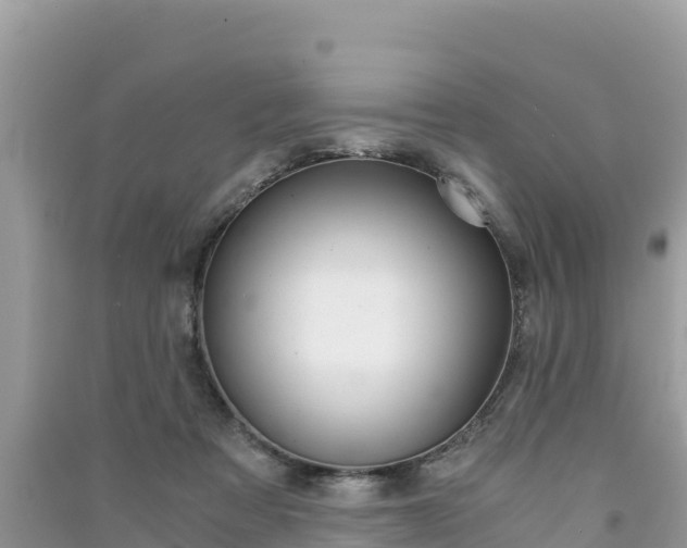 X0000091300313200708101053