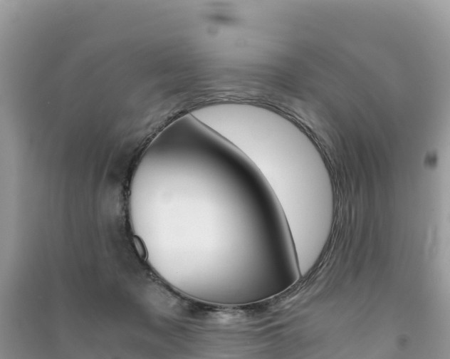 X0000091300317200708101053