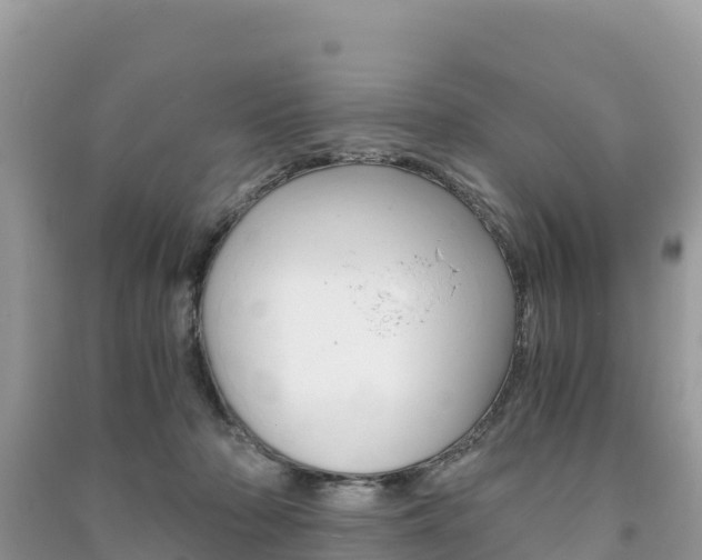 X0000091300318200708101053