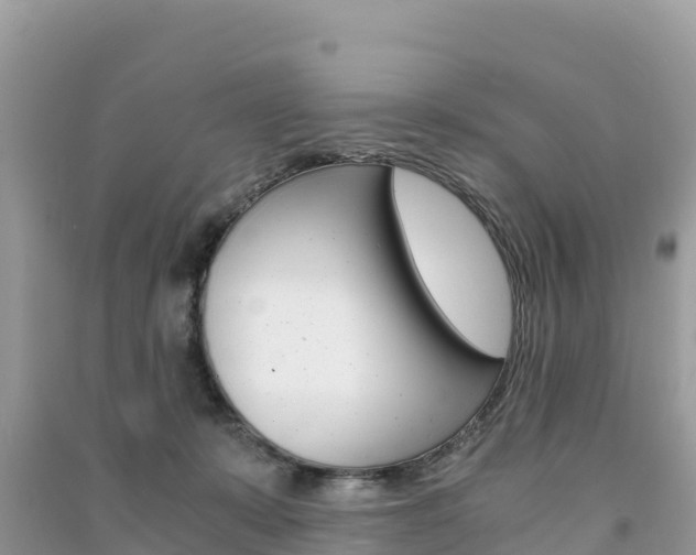 X0000091300319200708101053