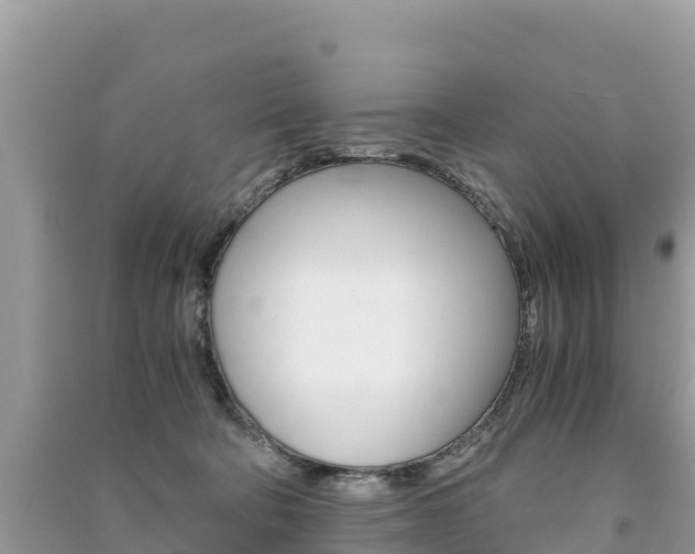 X0000091300322200708101053