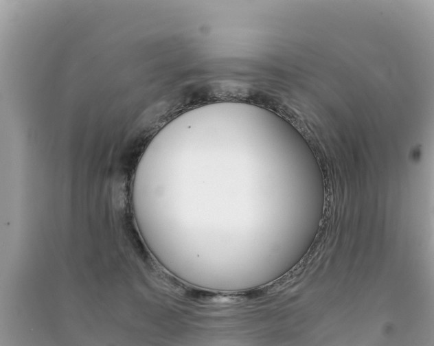 X0000091300323200708101053