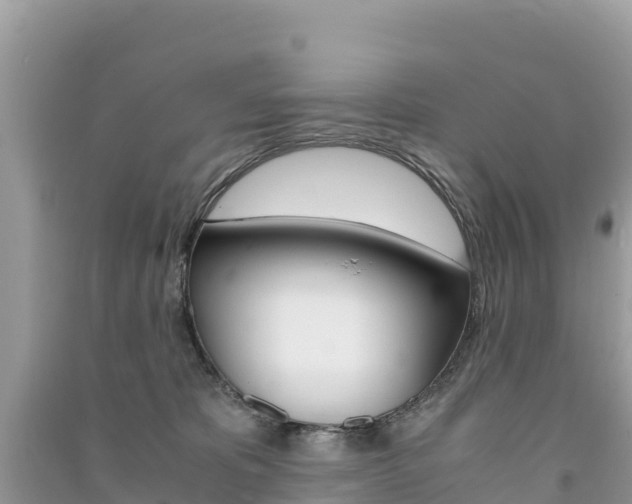 X0000091300325200708101053