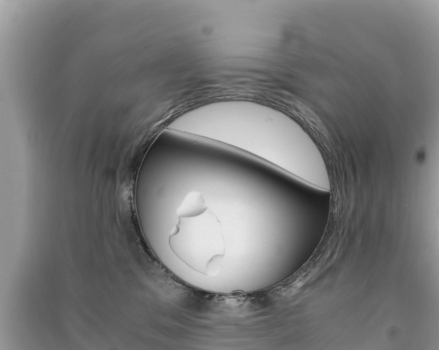 X0000091300329200708101053