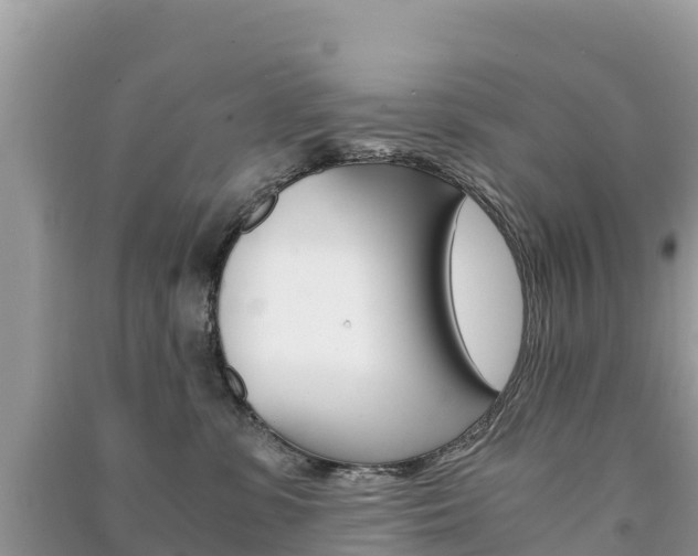X0000091300331200708101053