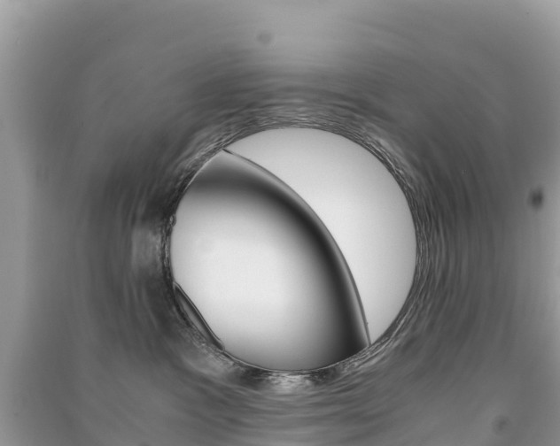 X0000091300333200708101053