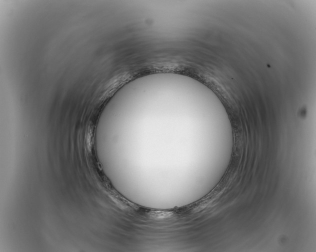 X0000091300334200708101053