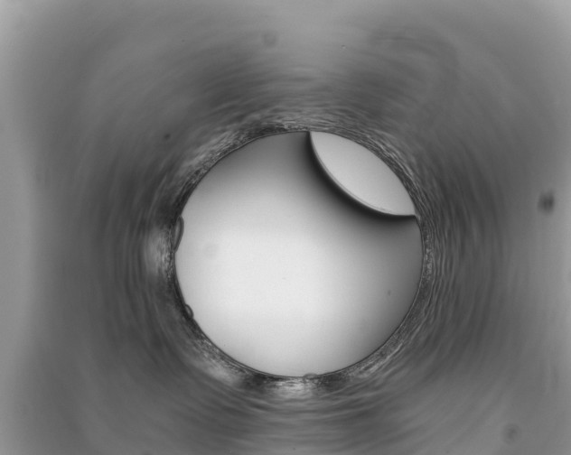 X0000091300335200708101053