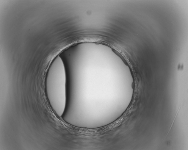 X0000091300337200708101053