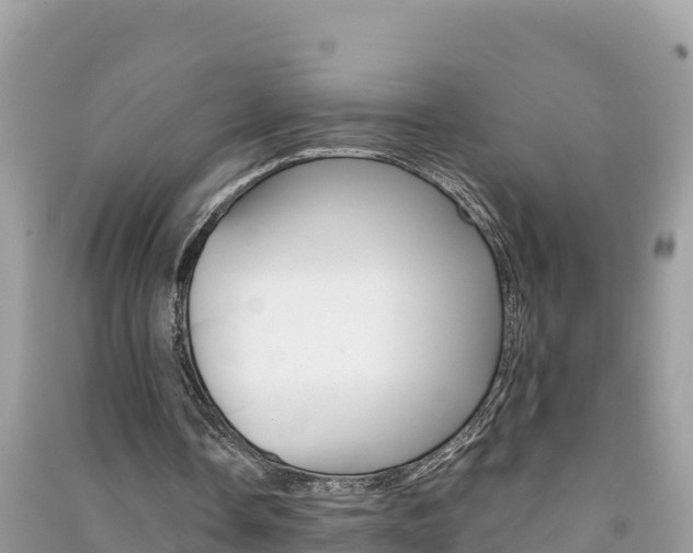 X0000091300338200708101053