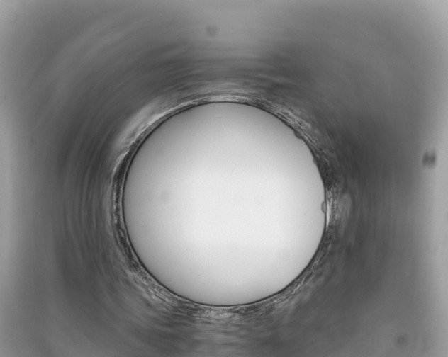 X0000091300339200708101053