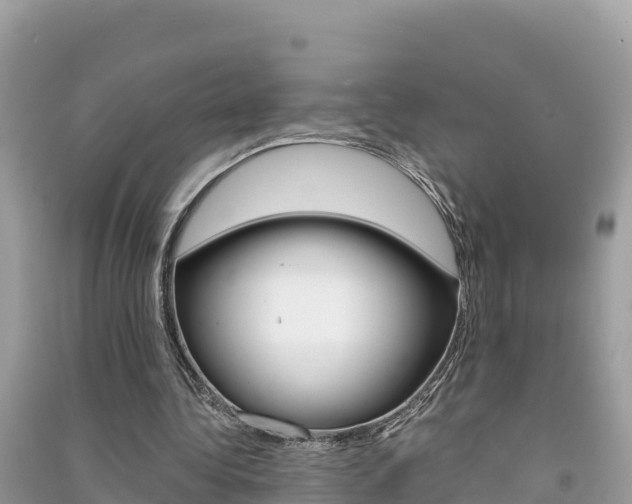 X0000091300340200708101053