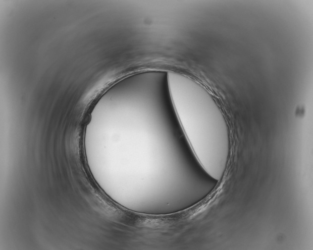 X0000091300341200708101053