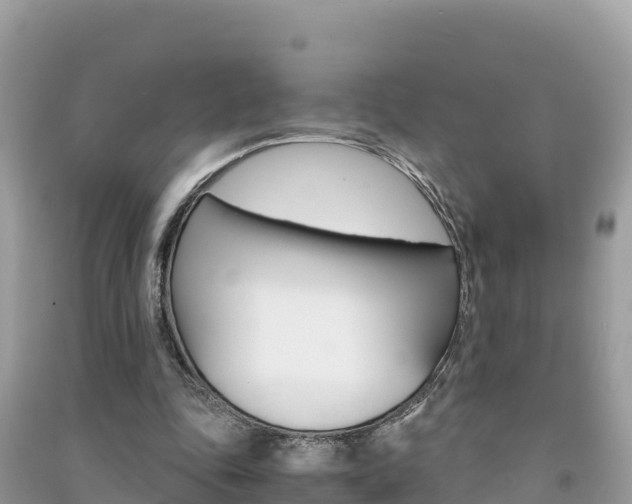 X0000091300343200708101053