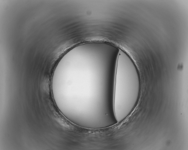 X0000091300345200708101053