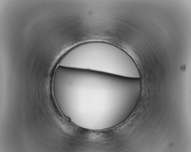 X0000091300346200708101053