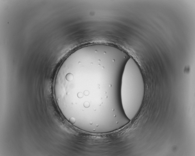 X0000091300347200708101053