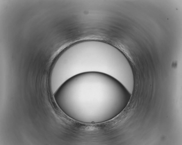 X0000091300348200708101053
