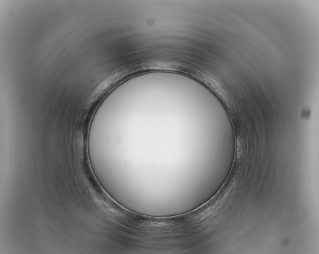 X0000091300349200708101053