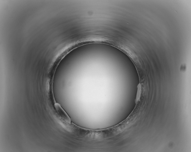 X0000091300350200708101053
