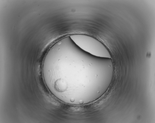 X0000091300351200708101053