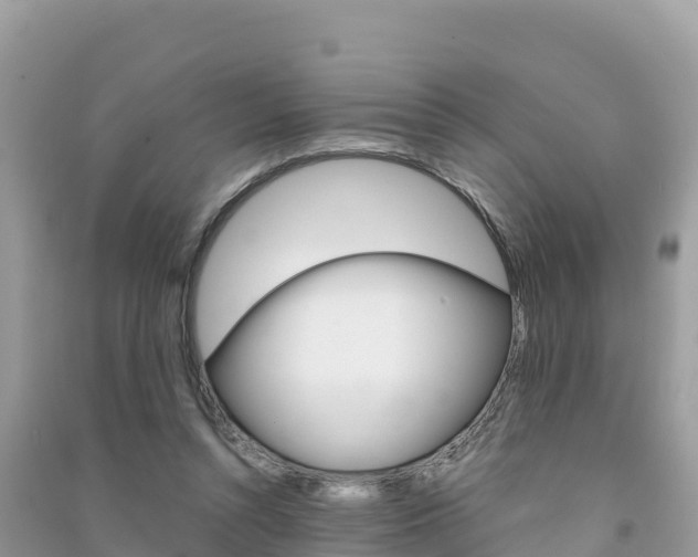 X0000091300352200708101053