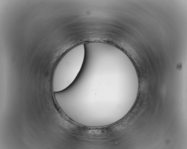 X0000091300353200708101053