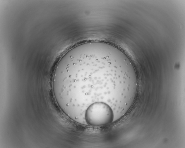 X0000091300354200708101053