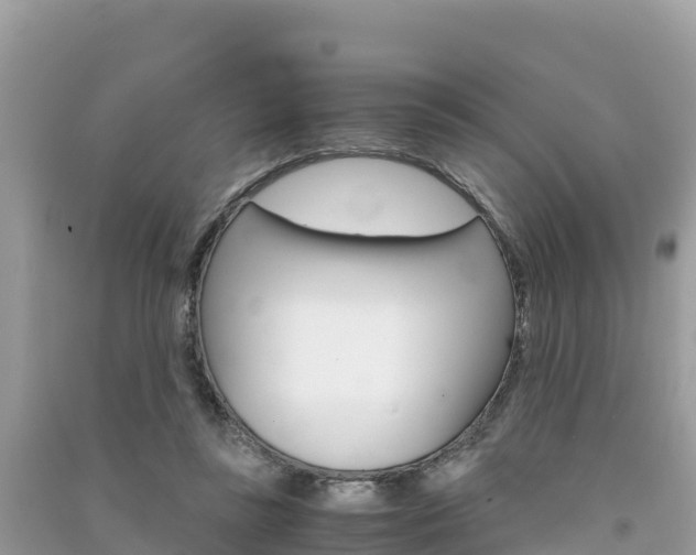 X0000091300355200708101053