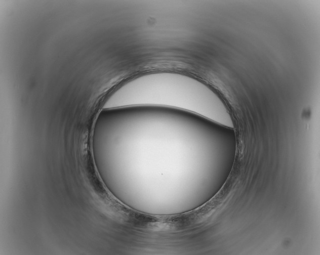 X0000091300356200708101053