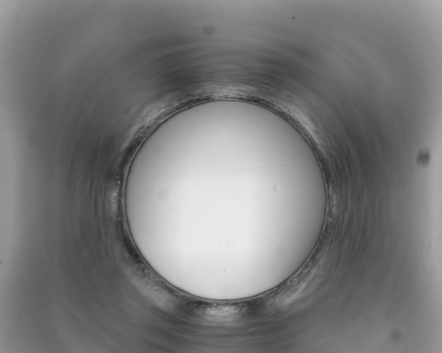 X0000091300357200708101053