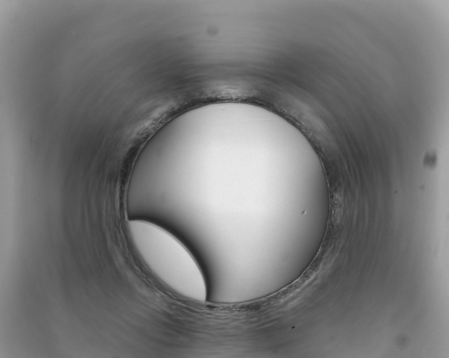 X0000091300358200708101053