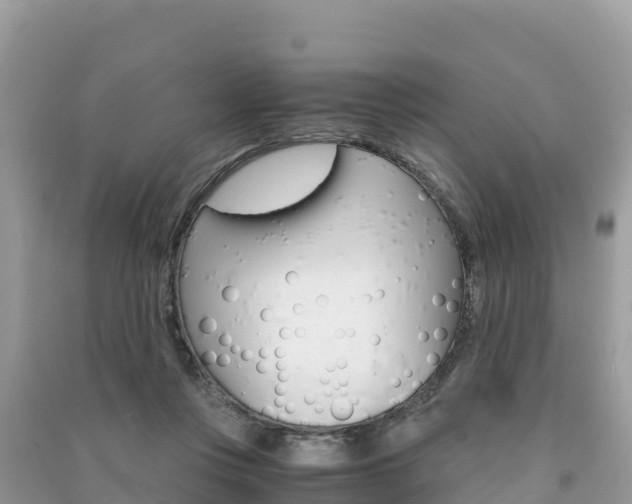 X0000091300359200708101053