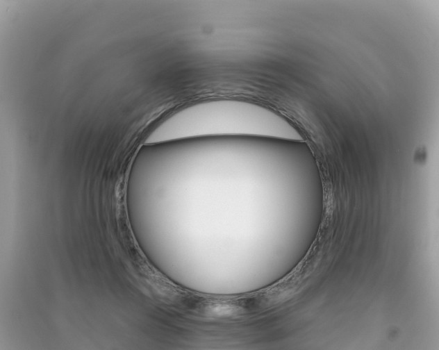 X0000091300360200708101053